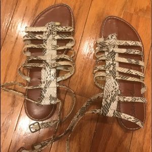 Sam Edelman genevie strappy snakeskin gladiators